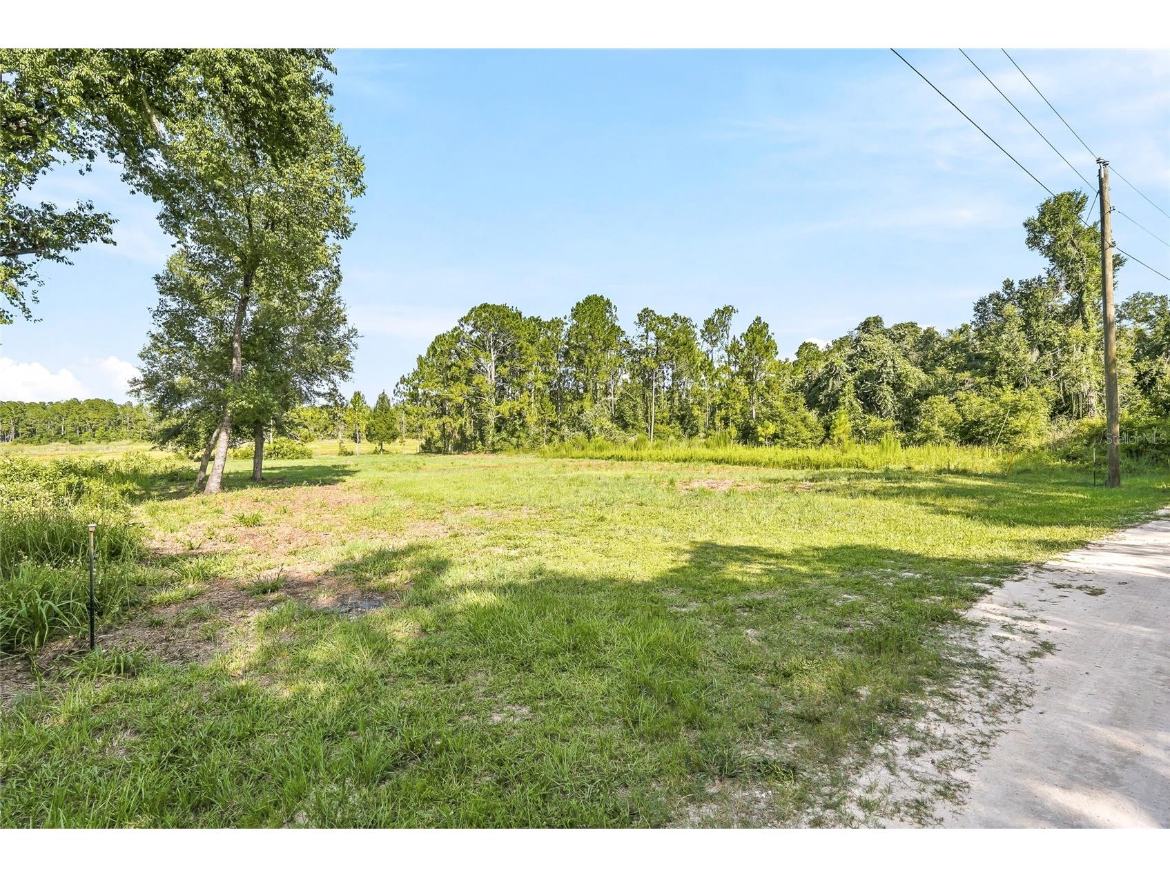 100 Berryhill Drive Webster FL 33597 - Long Lake W7887333 image3
