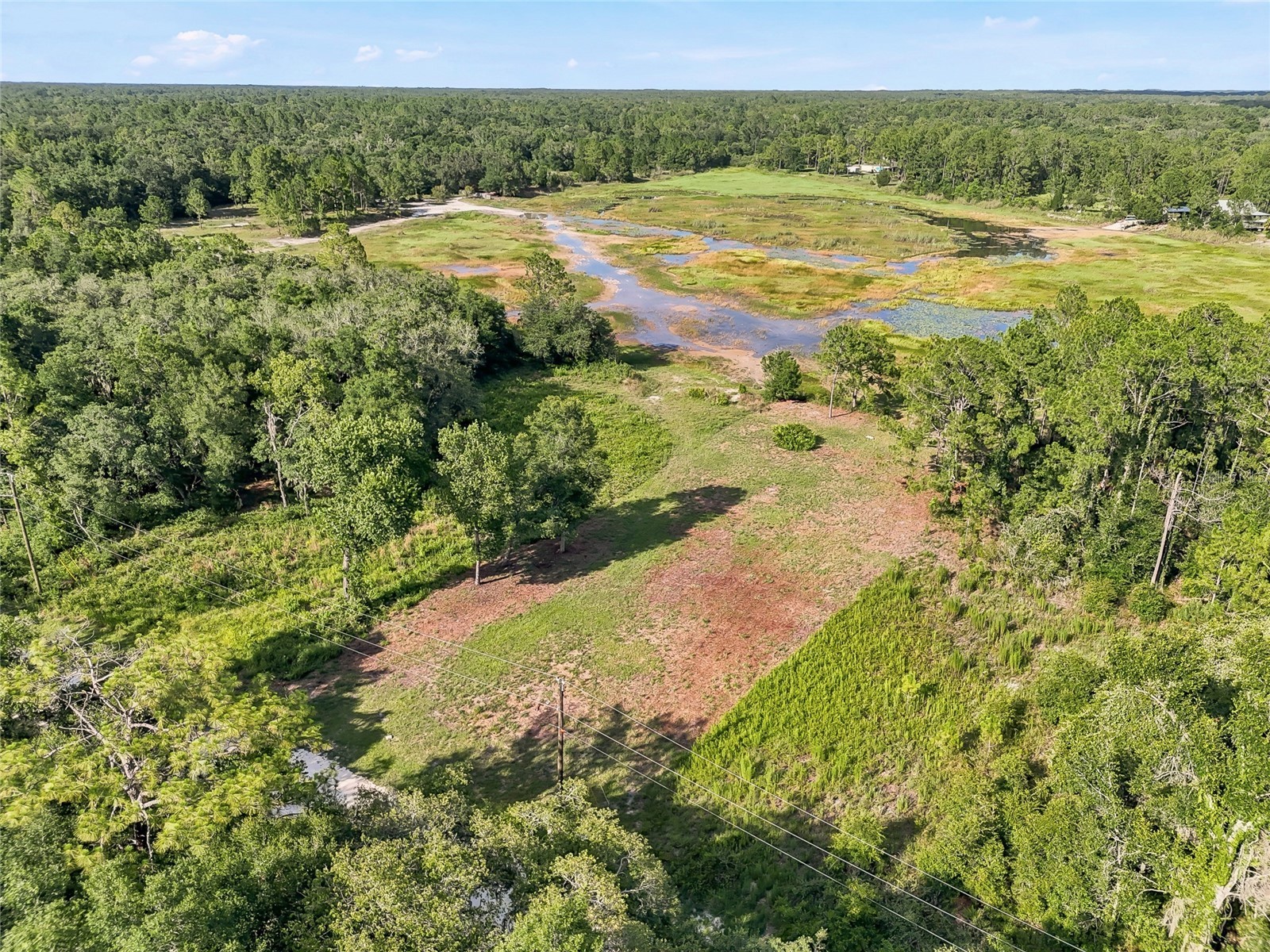 100 Berryhill Drive Webster FL 33597 - Long Lake W7887333 image31