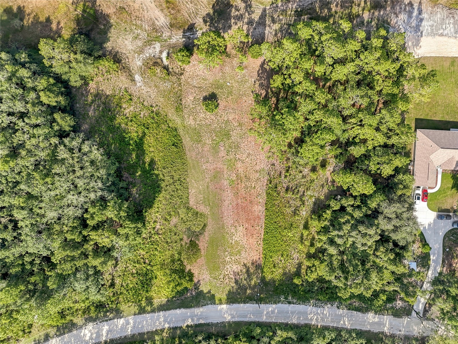 100 Berryhill Drive Webster FL 33597 - Long Lake W7887333 image33
