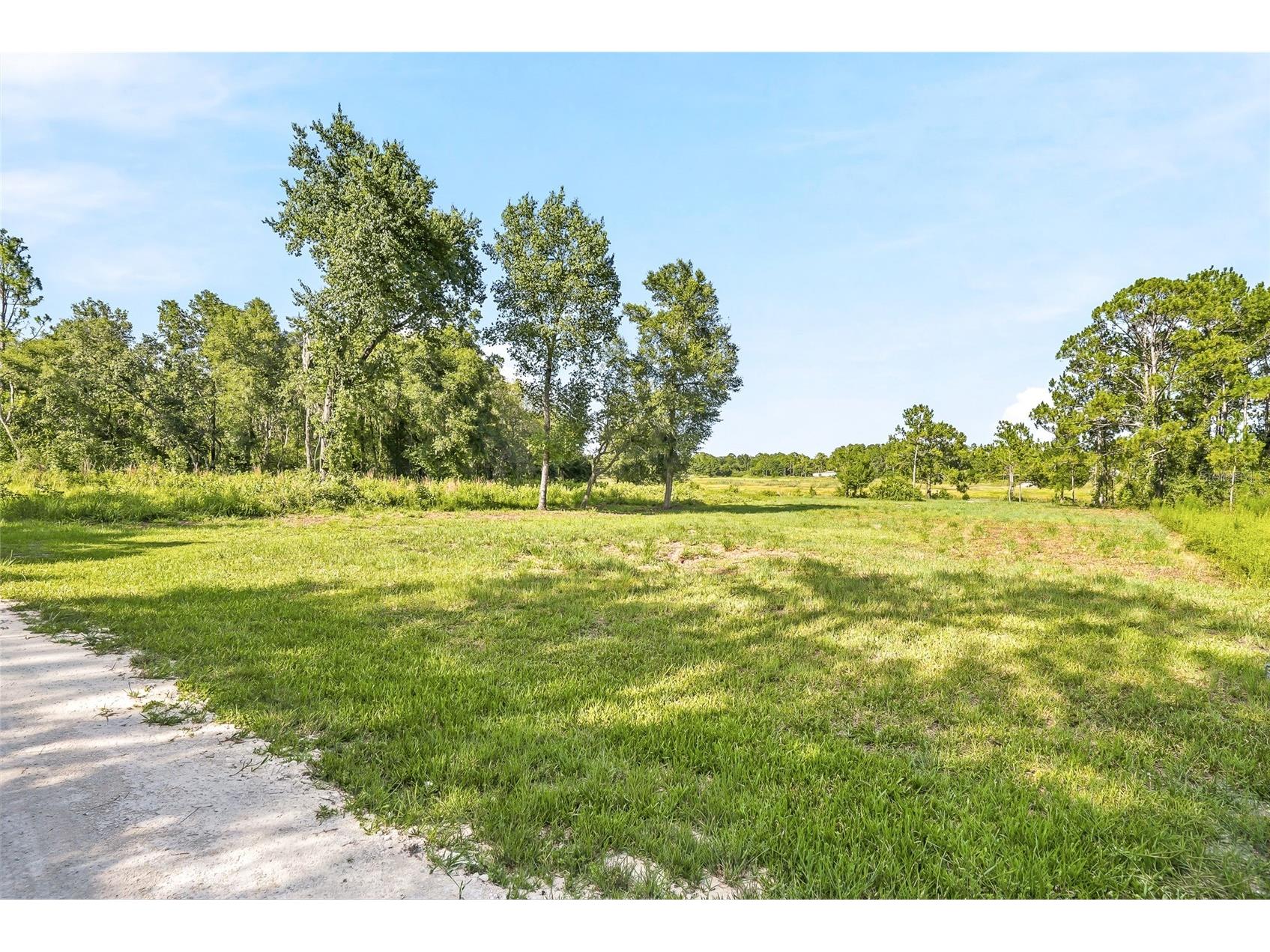 100 Berryhill Drive Webster FL 33597 - Long Lake W7887333 image4