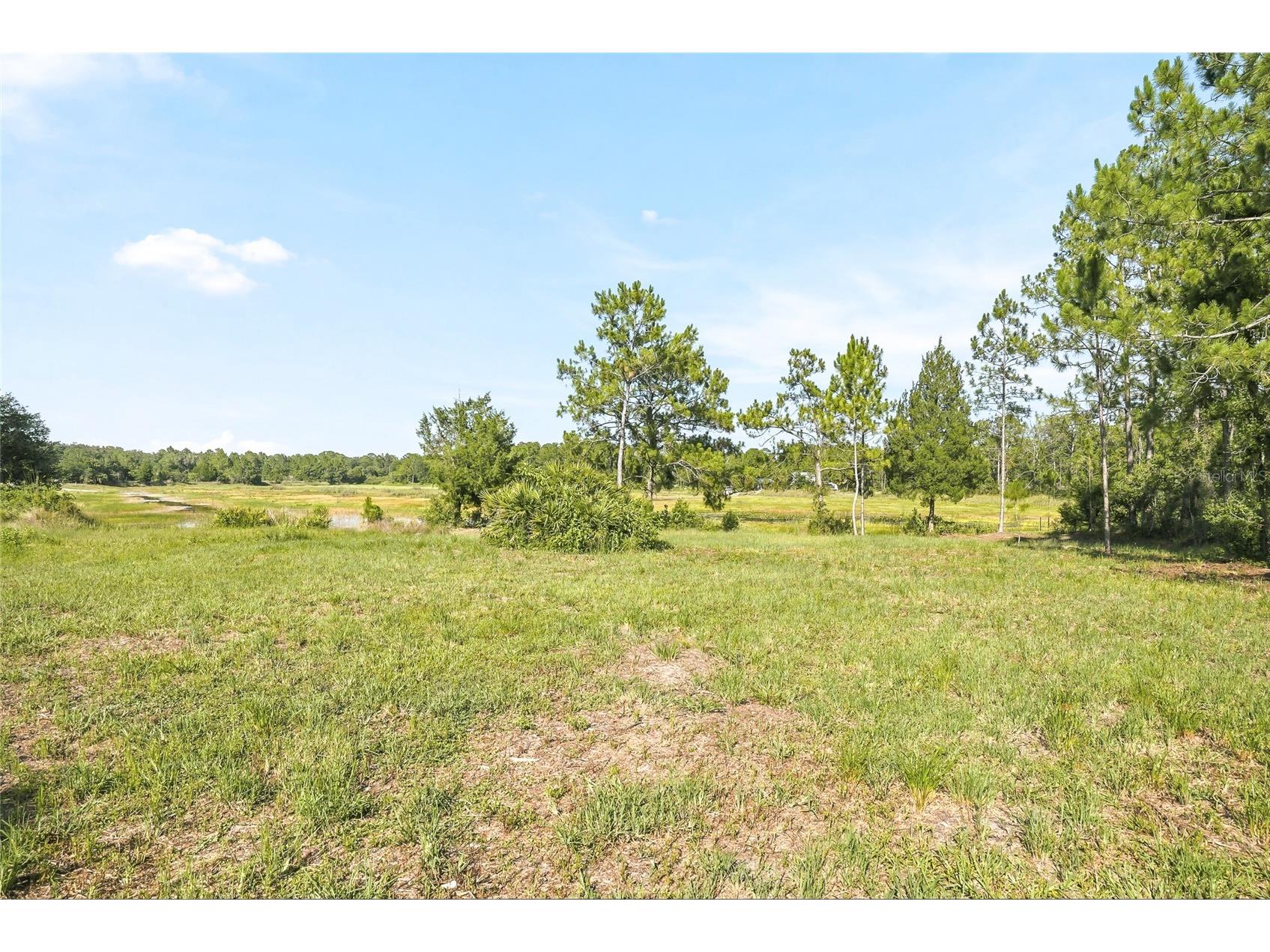 100 Berryhill Drive Webster FL 33597 - Long Lake W7887333 image5