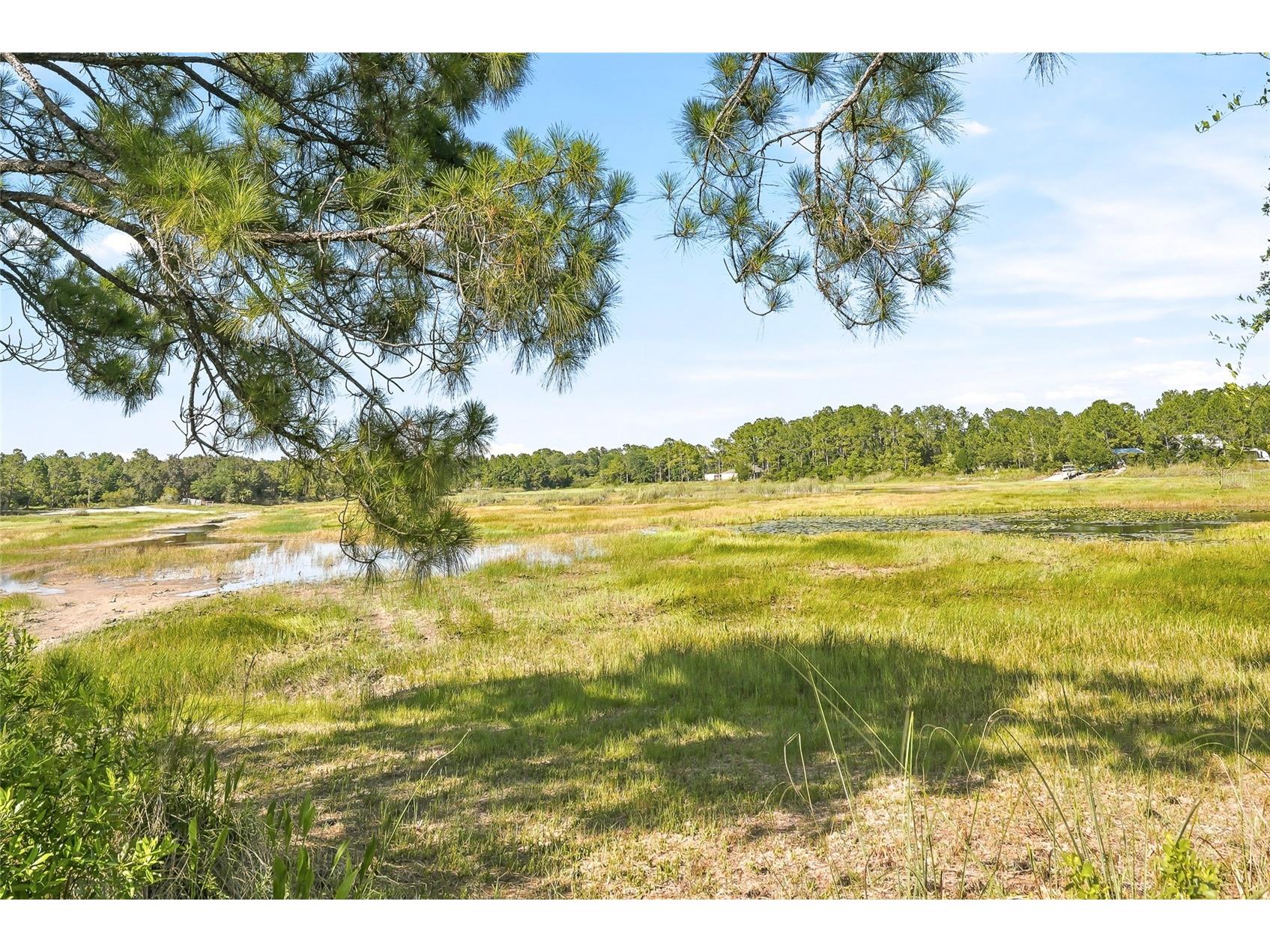 100 Berryhill Drive Webster FL 33597 - Long Lake W7887333 image6