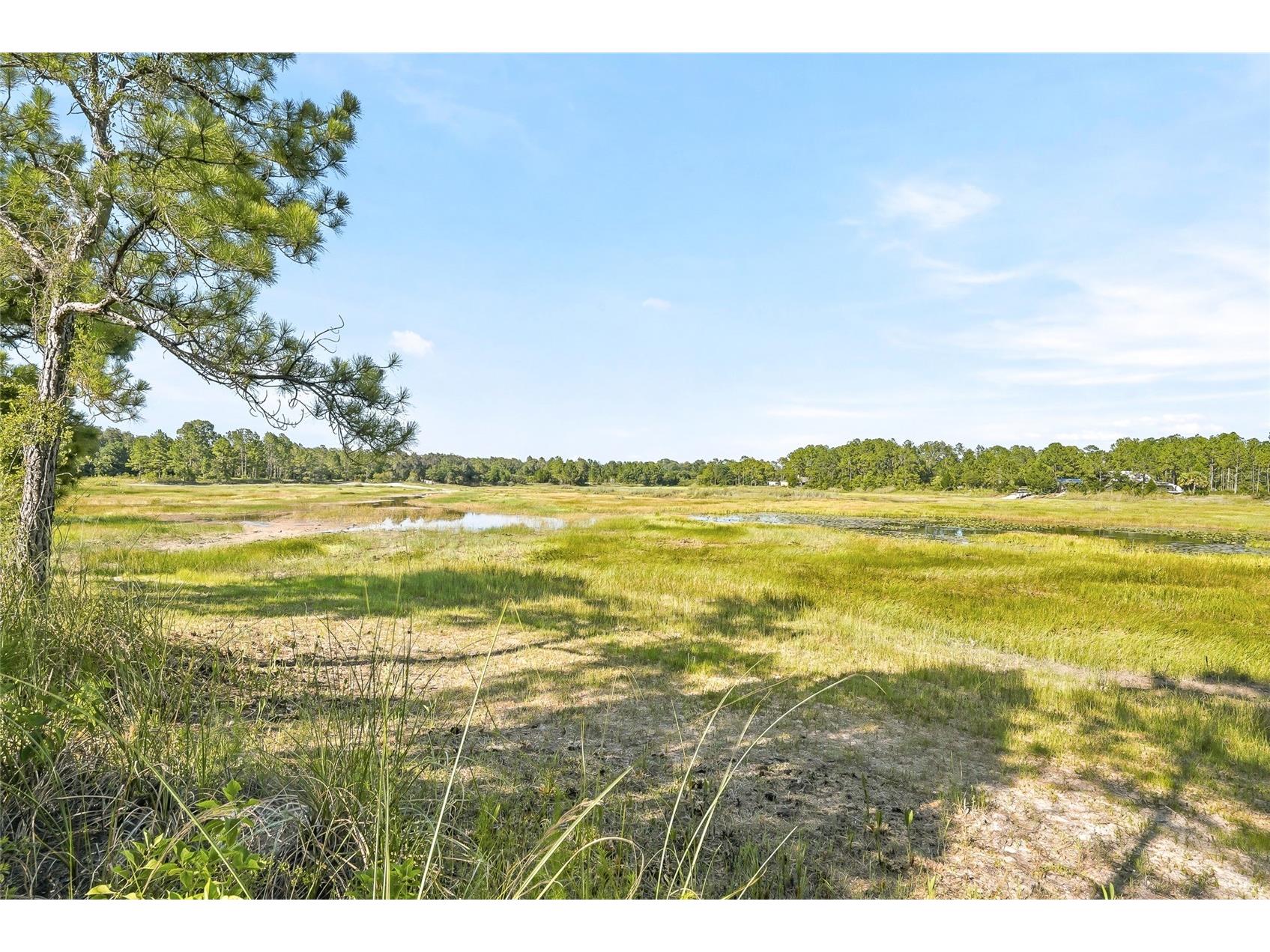 100 Berryhill Drive Webster FL 33597 - Long Lake W7887333 image7