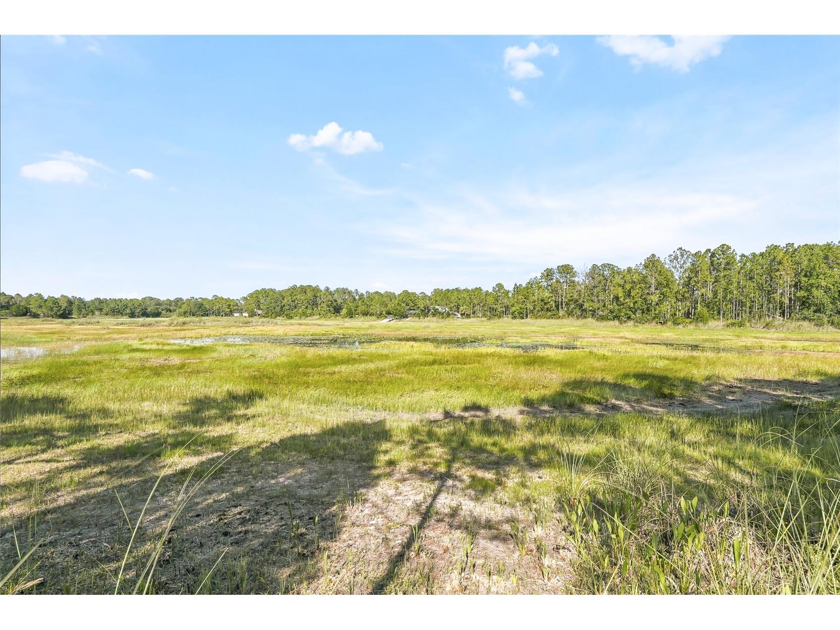 100 Berryhill Drive Webster FL 33597 - Long Lake W7887333 image8