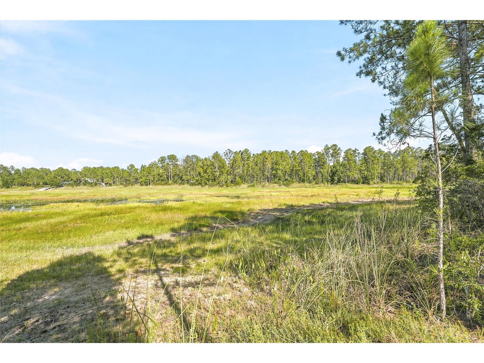 100 Berryhill Drive Webster FL 33597 - Long Lake W7887333 image9