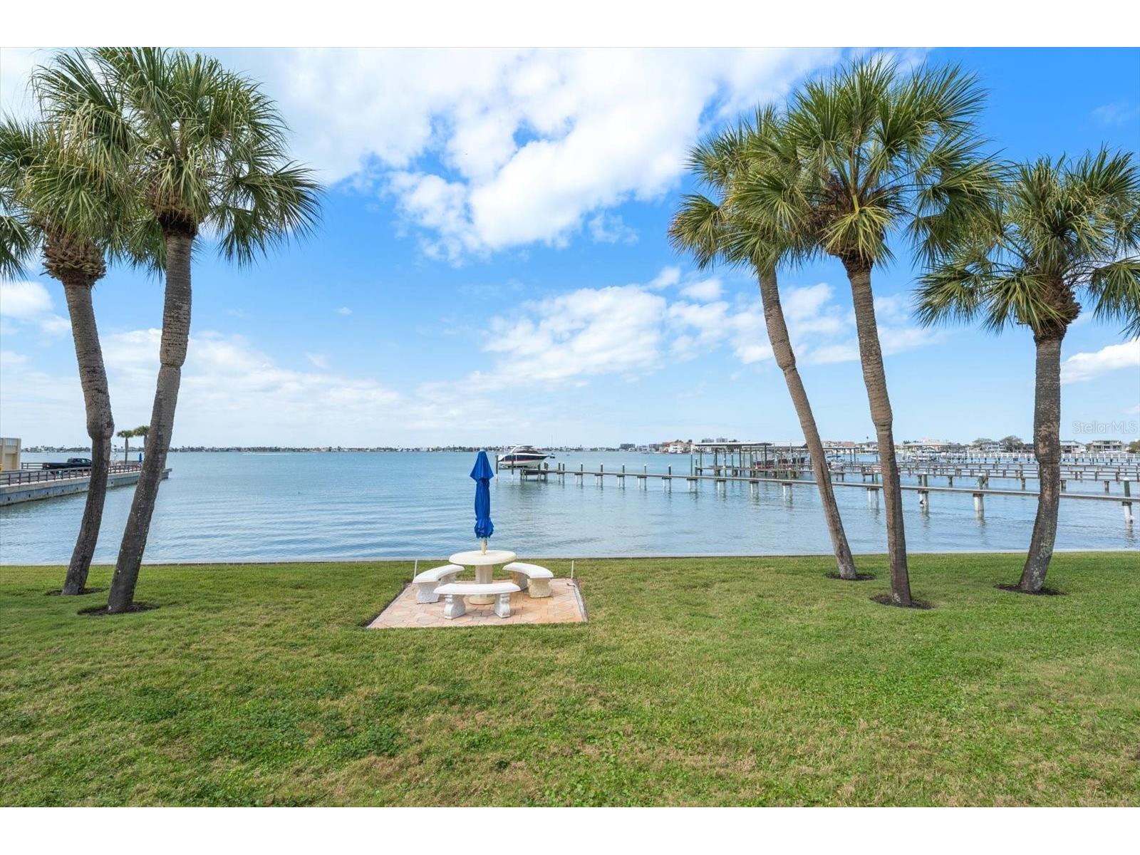 100 Bluff View Drive #114A Belleair Bluffs FL 33770 TB8482710 image51