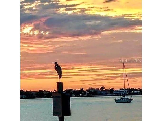 100 Bluff View Drive #205C Belleair Bluffs FL 33770 - CLEARWATER BAY TB8336641 image1