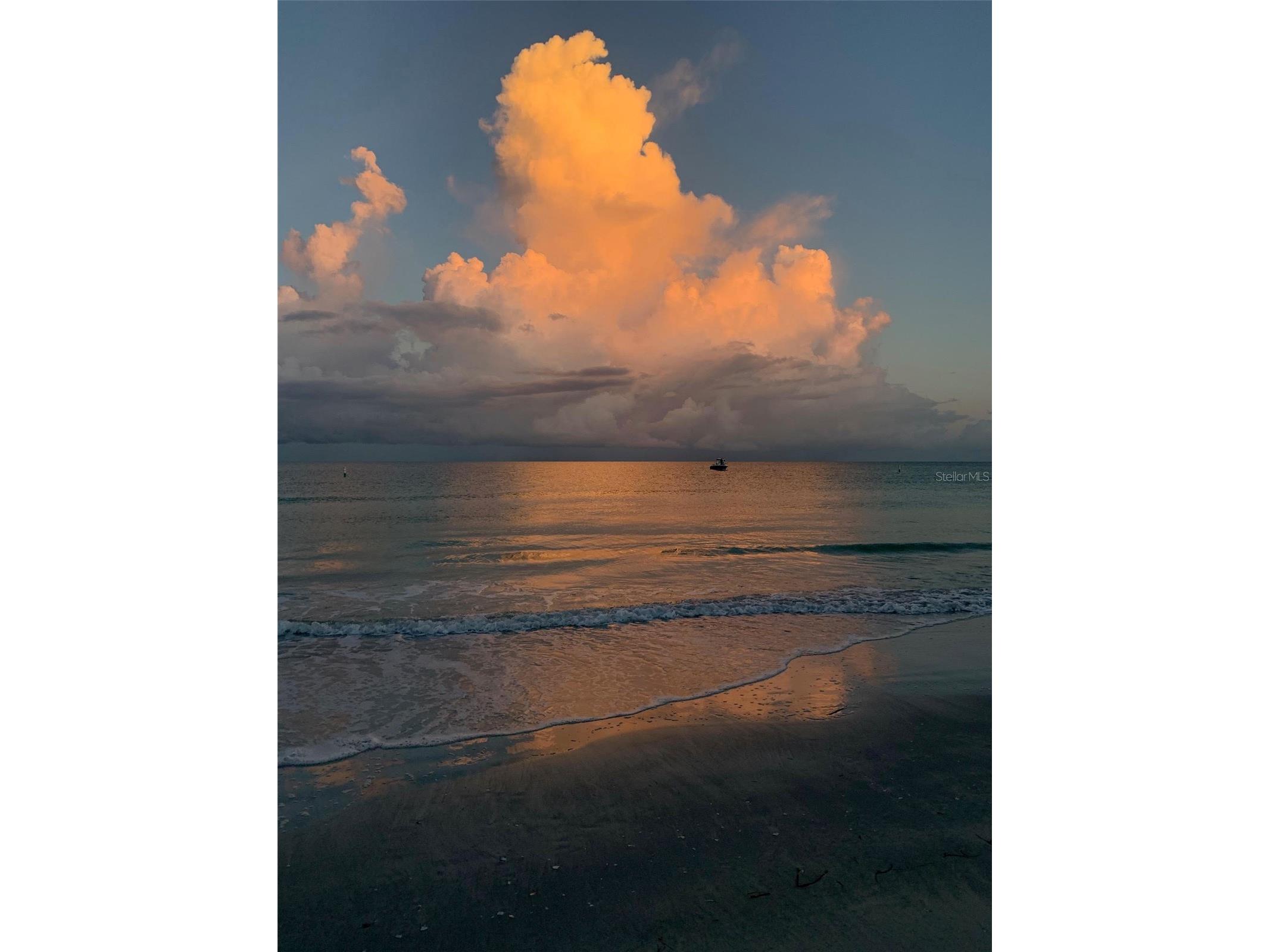 100 Bluff View Drive #207C Belleair Bluffs FL 33770 - CLEARWATER HARBOUR TB8329745 image42