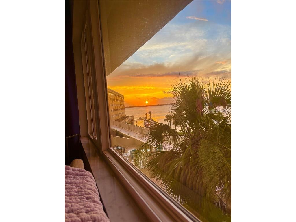 100 Bluff View Drive #208A Belleair Bluffs FL 33770 TB8407689 image16