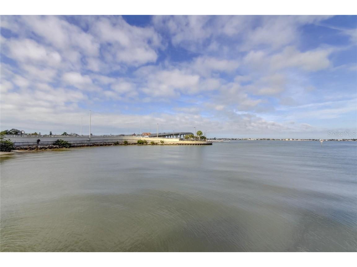 100 Bluff View Drive #208A Belleair Bluffs FL 33770 TB8407689 image31