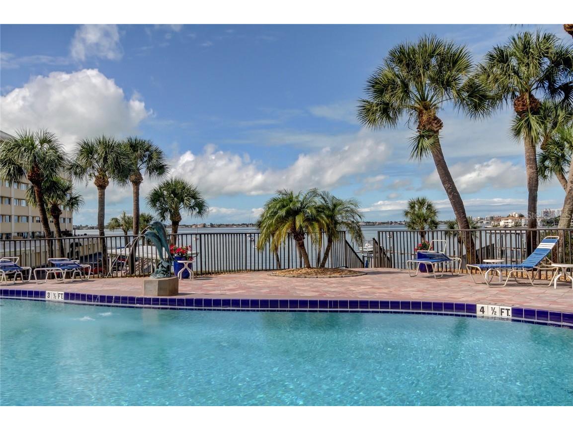 100 Bluff View Drive #208A Belleair Bluffs FL 33770 TB8407689 image33