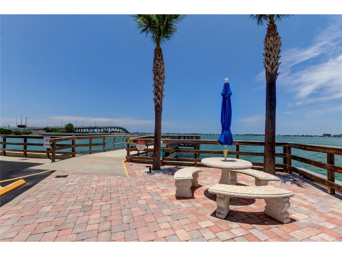 100 Bluff View Drive #208A Belleair Bluffs FL 33770 TB8407689 image39