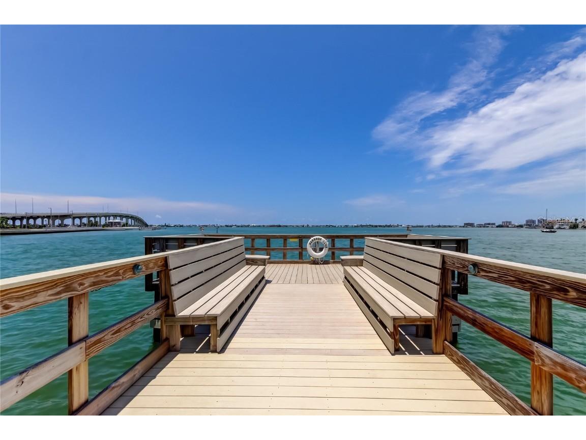 100 Bluff View Drive #208A Belleair Bluffs FL 33770 TB8407689 image40