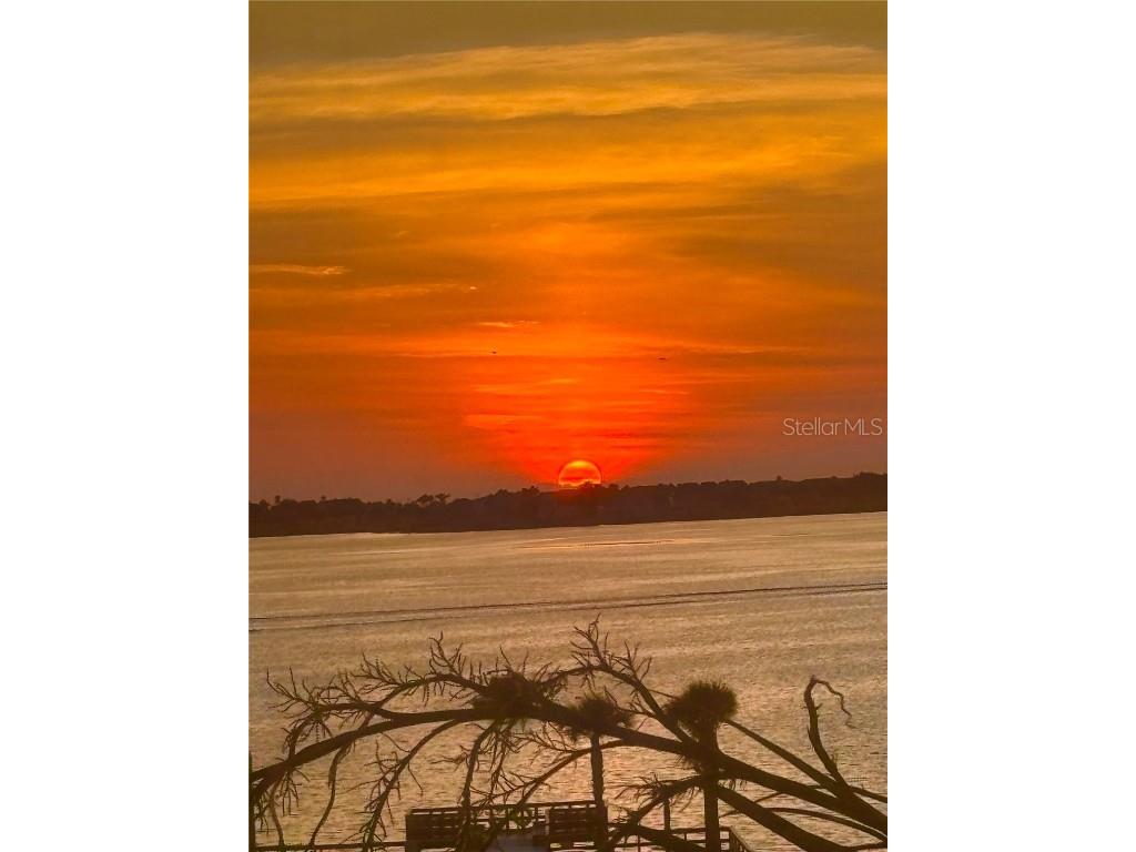 100 Bluff View Drive #208A Belleair Bluffs FL 33770 TB8407689 image45