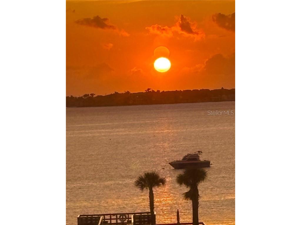 100 Bluff View Drive #208A Belleair Bluffs FL 33770 TB8407689 image46