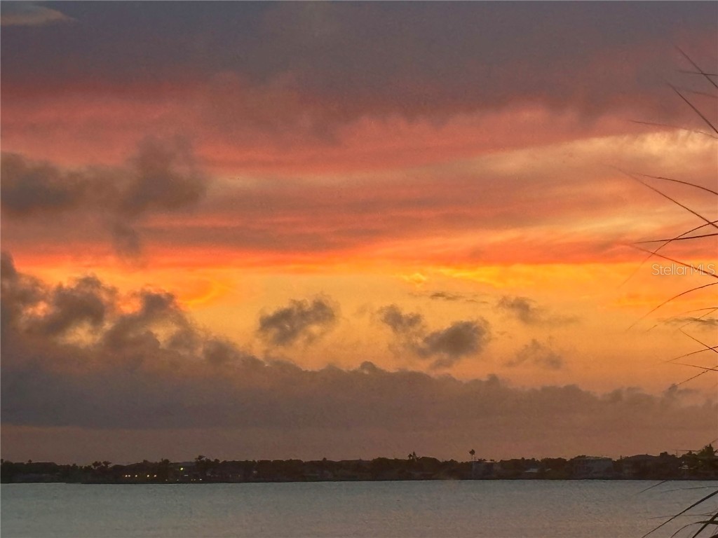 100 Bluff View Drive #208A Belleair Bluffs FL 33770 TB8407689 image47