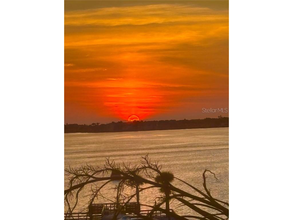 100 Bluff View Drive #208A Belleair Bluffs FL 33770 TB8407689 image49