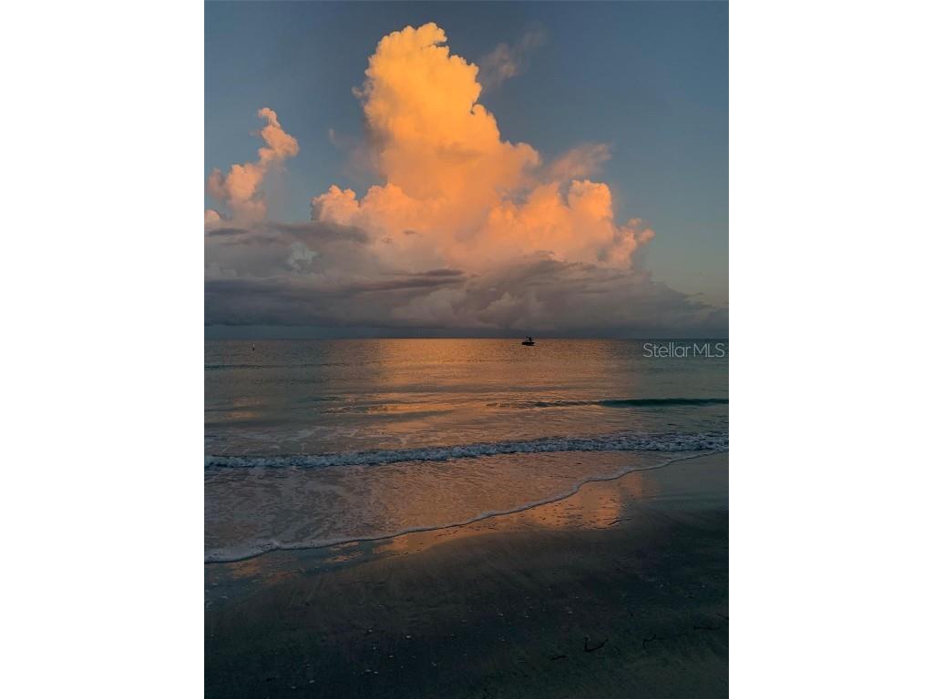 100 Bluff View Drive #306C Belleair Bluffs FL 33770 - CLEARWATER BAY TB8404581 image73