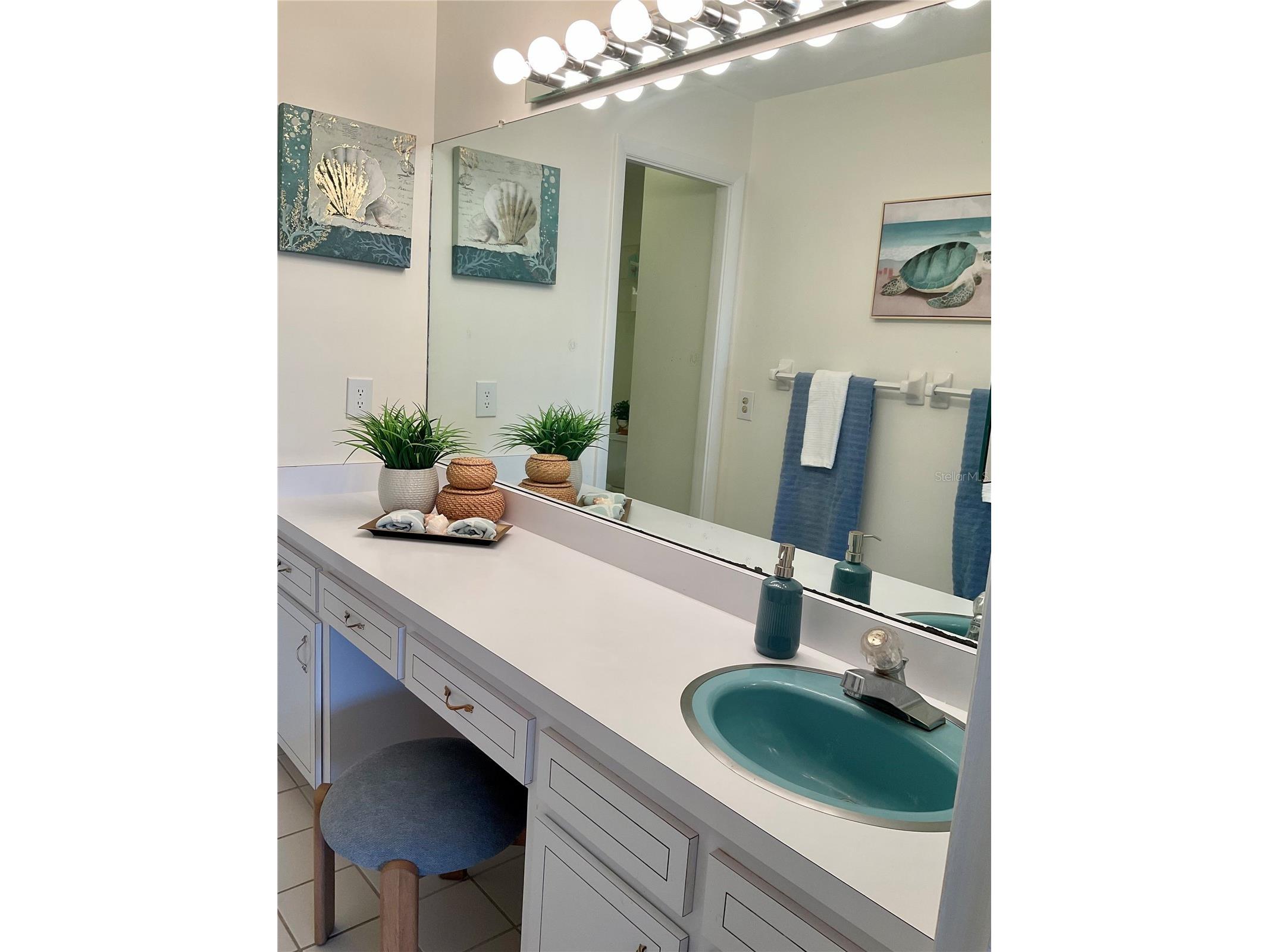 100 Bluff View Drive #308A Belleair Bluffs FL 33770 TB8496968 image19