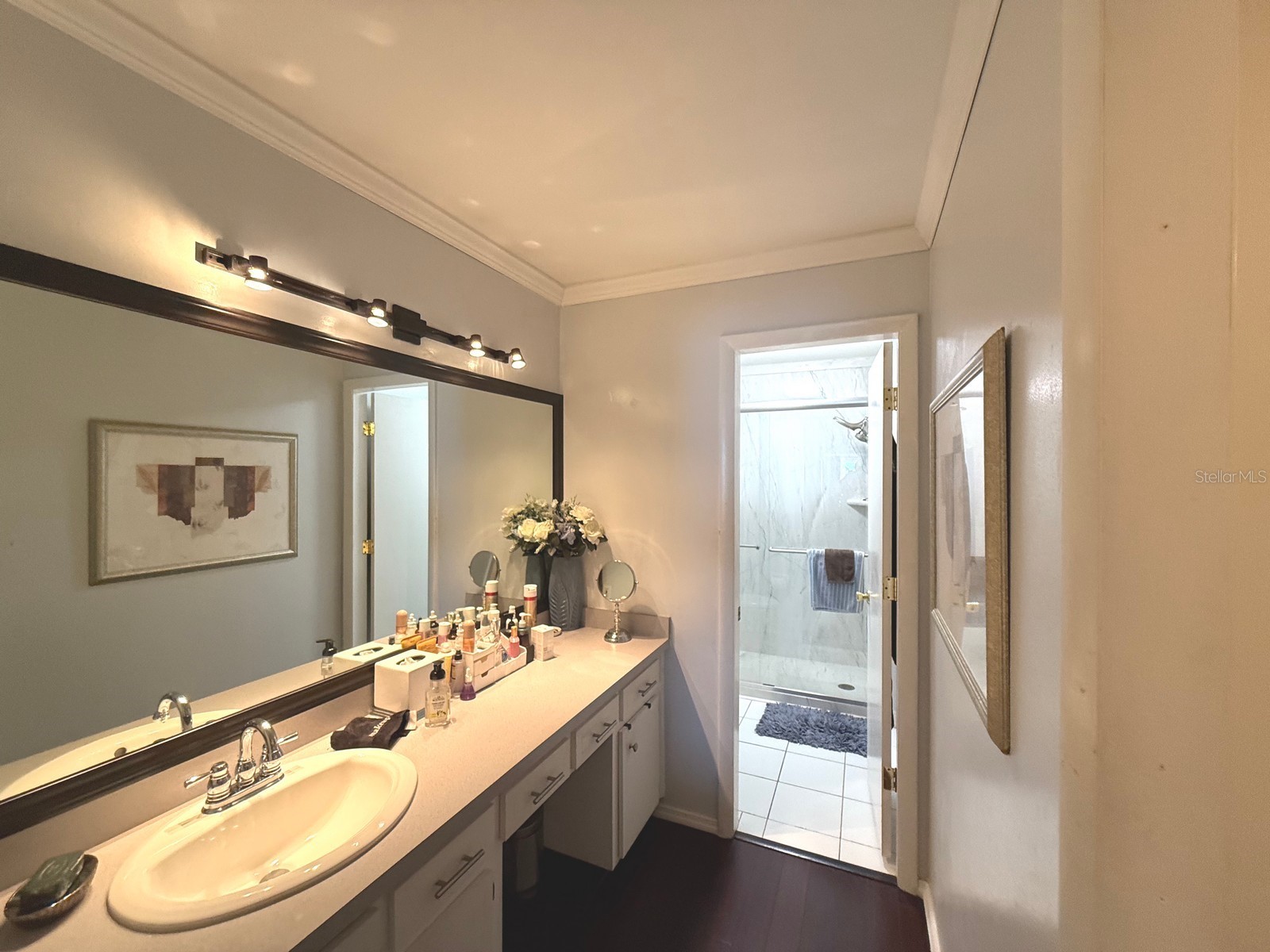 100 Bluff View Drive #311A Belleair Bluffs FL 33770 - INTRACOASTAL WATERWAY TB8511354 image61