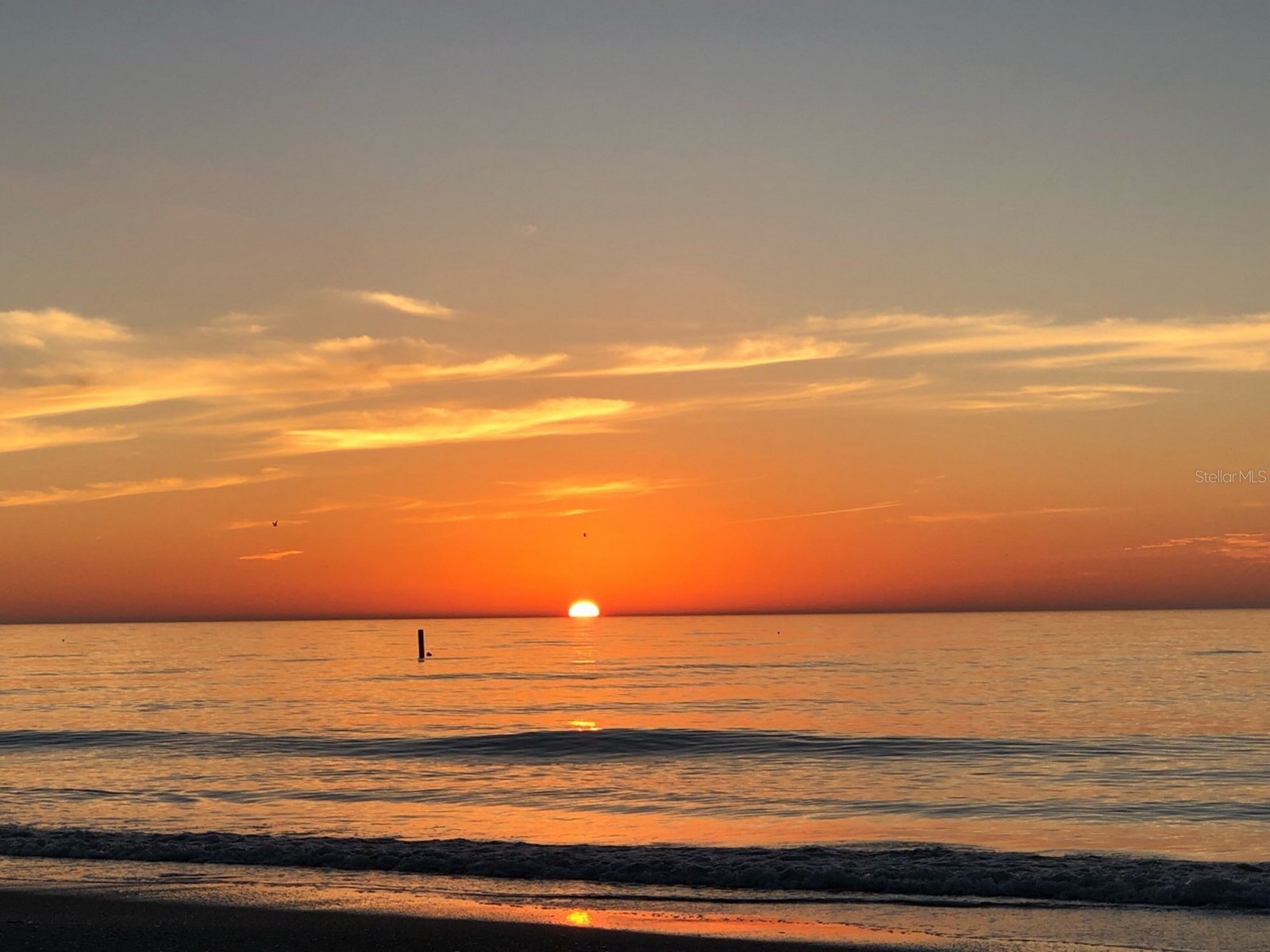 100 Bluff View Drive #317A Belleair Bluffs FL 33770 - INTRACOASTAL WATERWAY TB8473419 image10