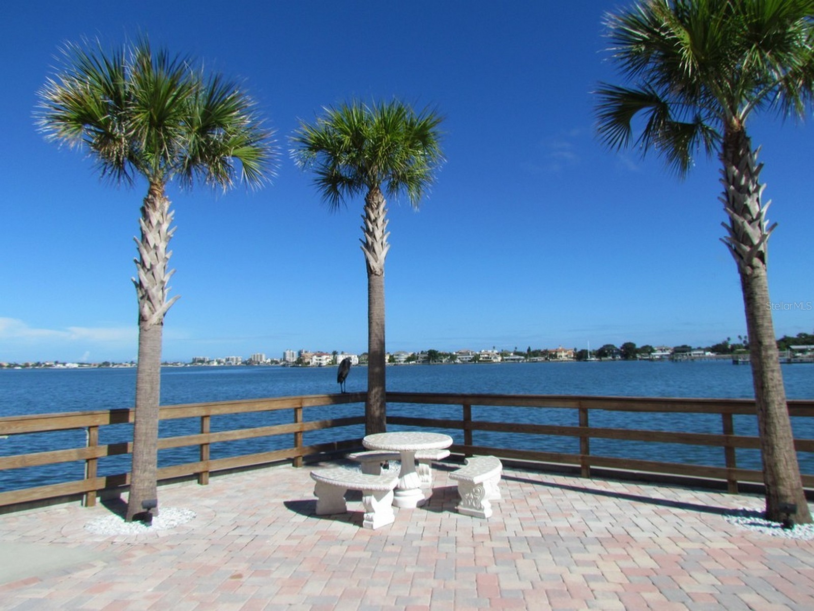 100 Bluff View Drive #317A Belleair Bluffs FL 33770 - INTRACOASTAL WATERWAY TB8473419 image18