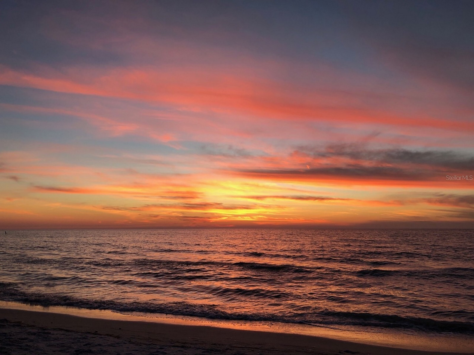 100 Bluff View Drive #317A Belleair Bluffs FL 33770 - INTRACOASTAL WATERWAY TB8473419 image25