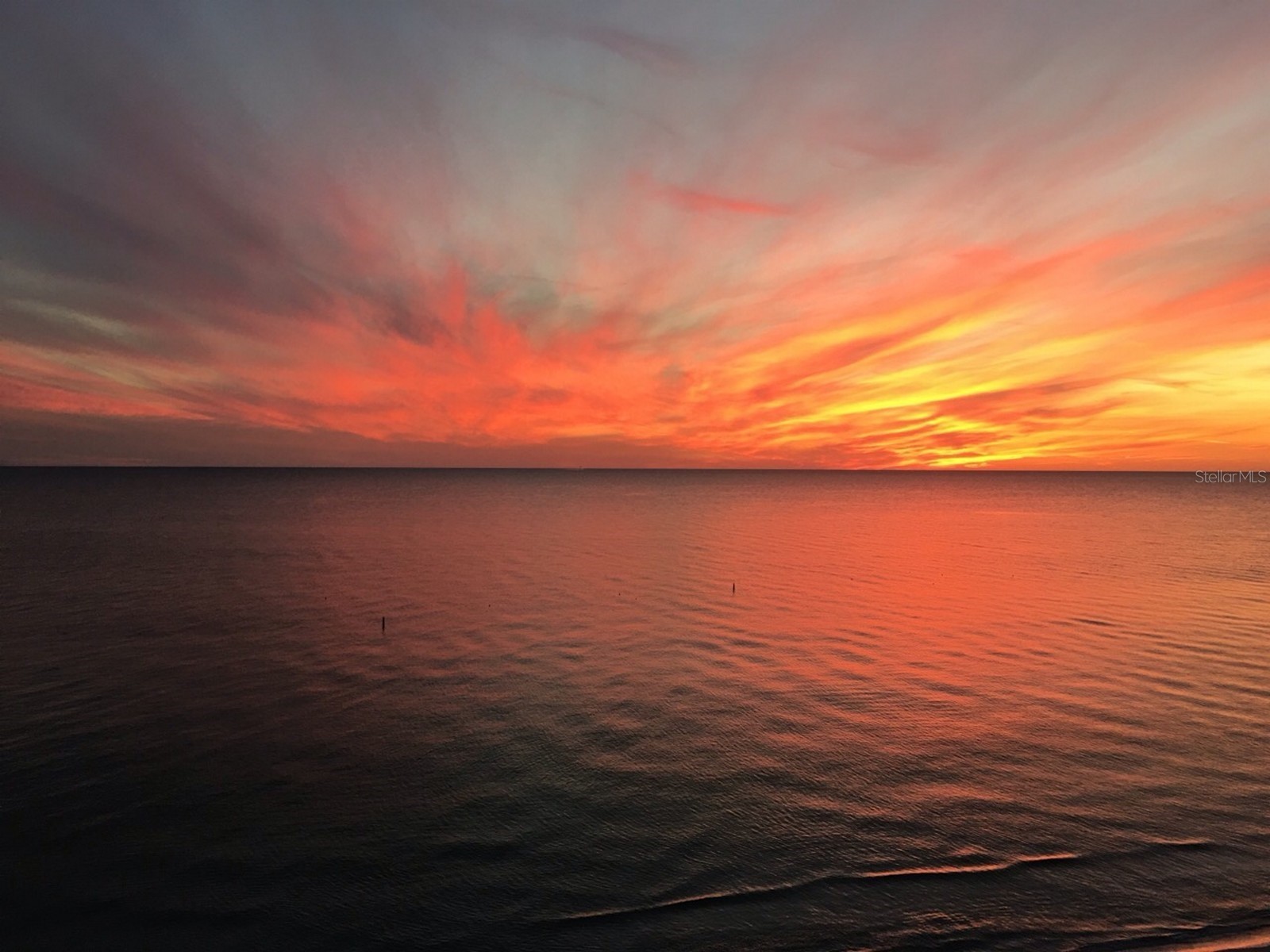 100 Bluff View Drive #317A Belleair Bluffs FL 33770 - INTRACOASTAL WATERWAY TB8473419 image3