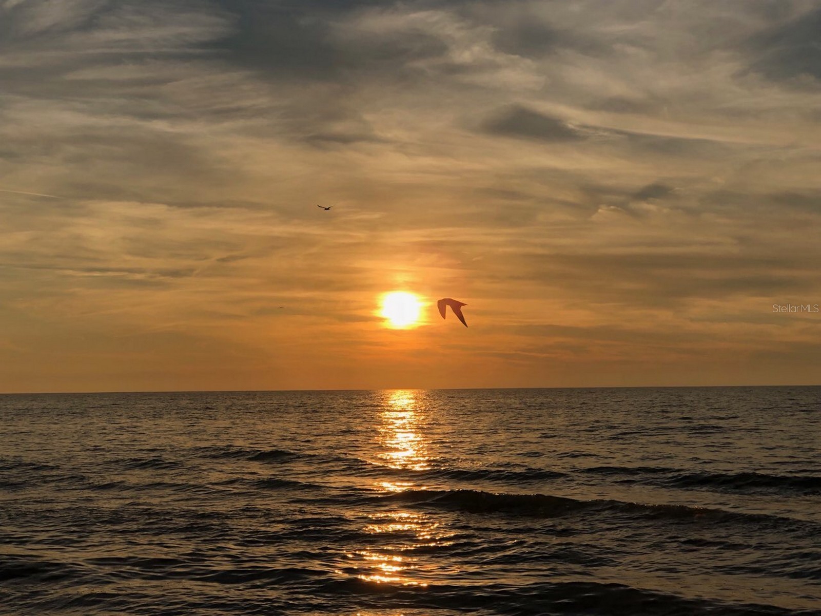 100 Bluff View Drive #317A Belleair Bluffs FL 33770 - INTRACOASTAL WATERWAY TB8473419 image37