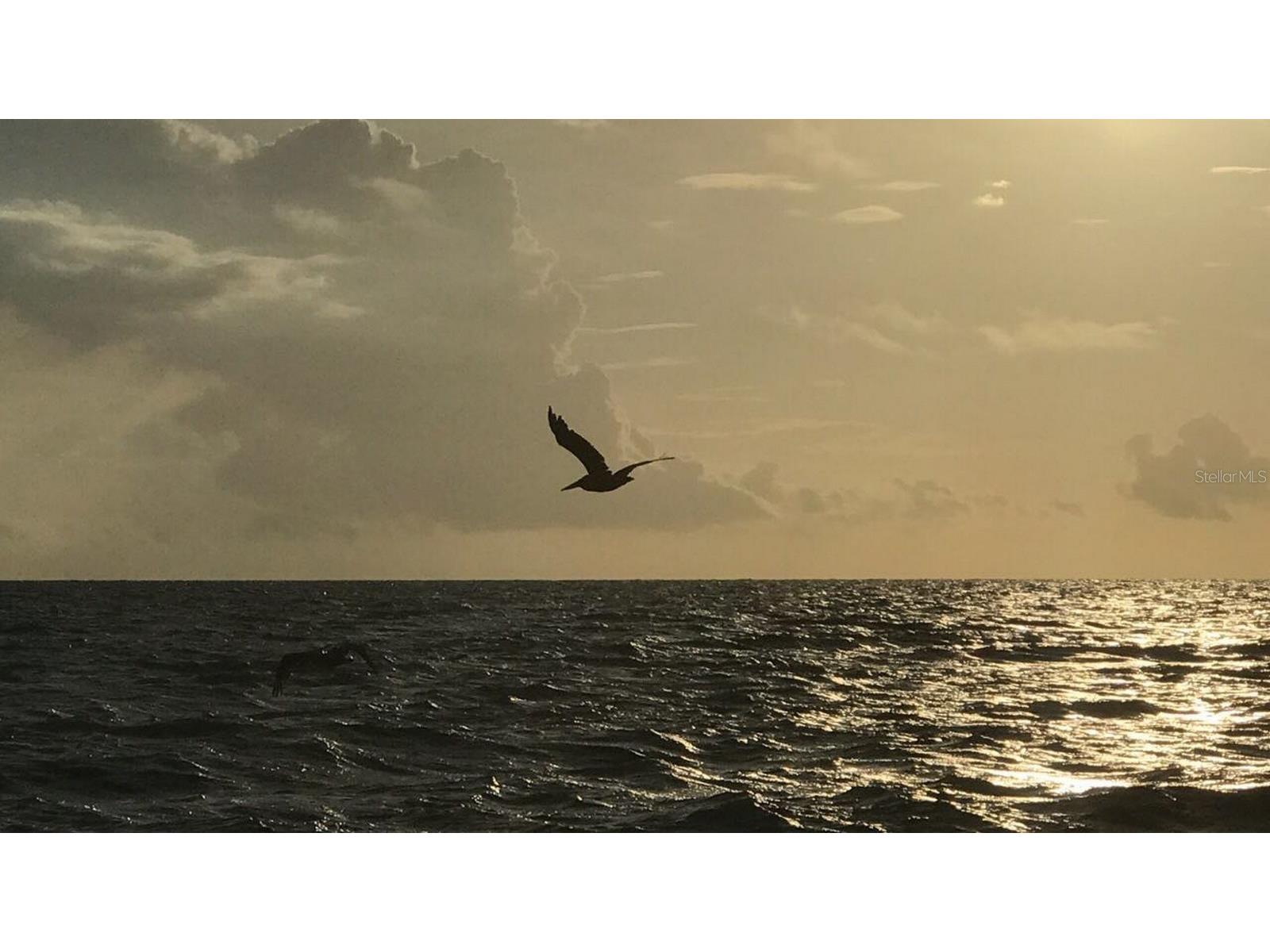 100 Bluff View Drive #317A Belleair Bluffs FL 33770 - INTRACOASTAL WATERWAY TB8473419 image46