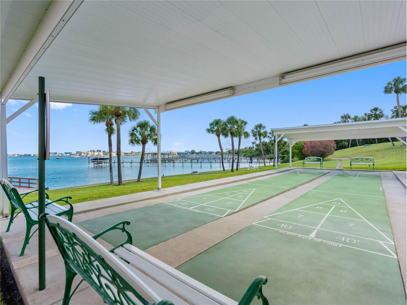 100 Bluff View Drive #404C Belleair Bluffs FL 33770 - CLEARWATER BAY TB8495261 image41