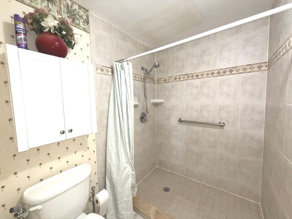 100 Bluff View Drive #411A Belleair Bluffs FL 33770 - INTRACOASTAL WATERWAY TB8432749 image23