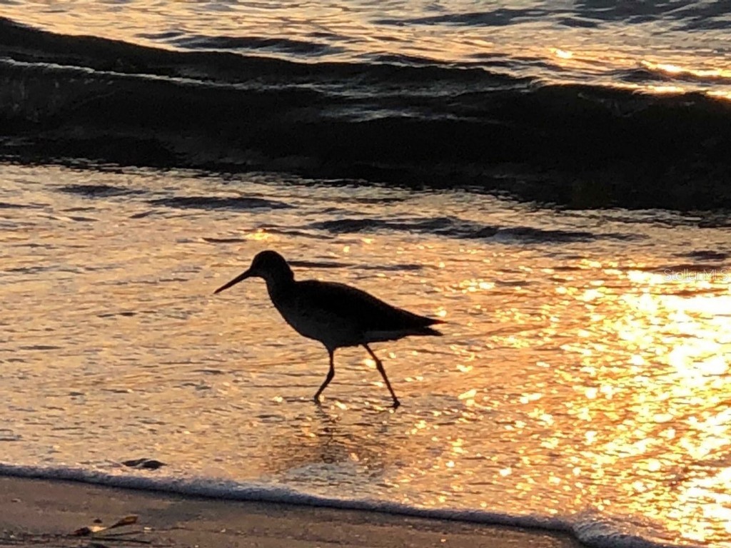 100 Bluff View Drive #411A Belleair Bluffs FL 33770 - INTRACOASTAL WATERWAY TB8432749 image48