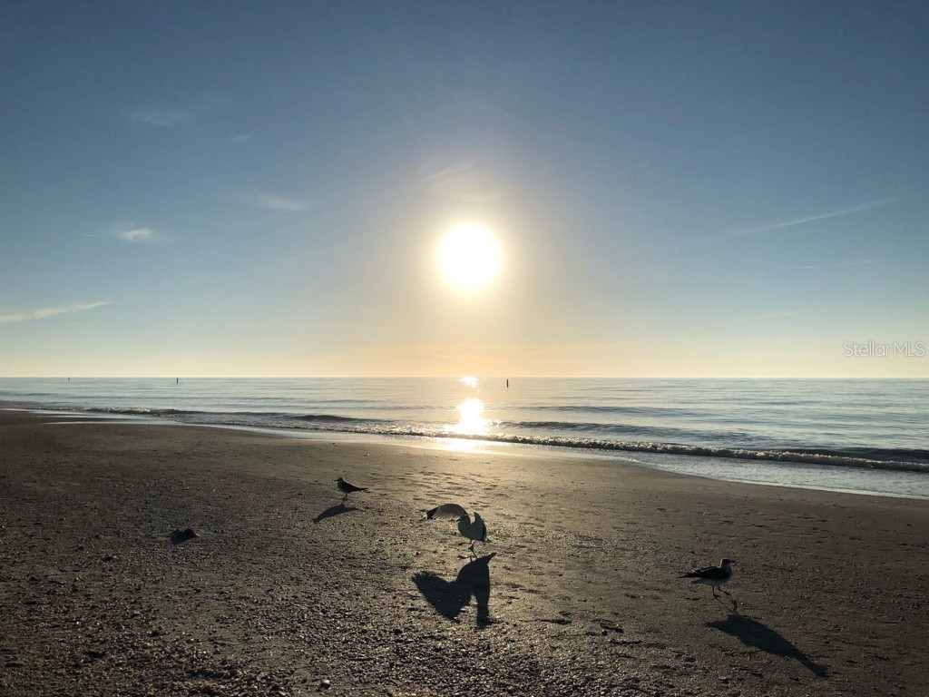 100 Bluff View Drive #415A Belleair Bluffs FL 33770 - INTRACOASTAL WATERWAY TB8333241 image41