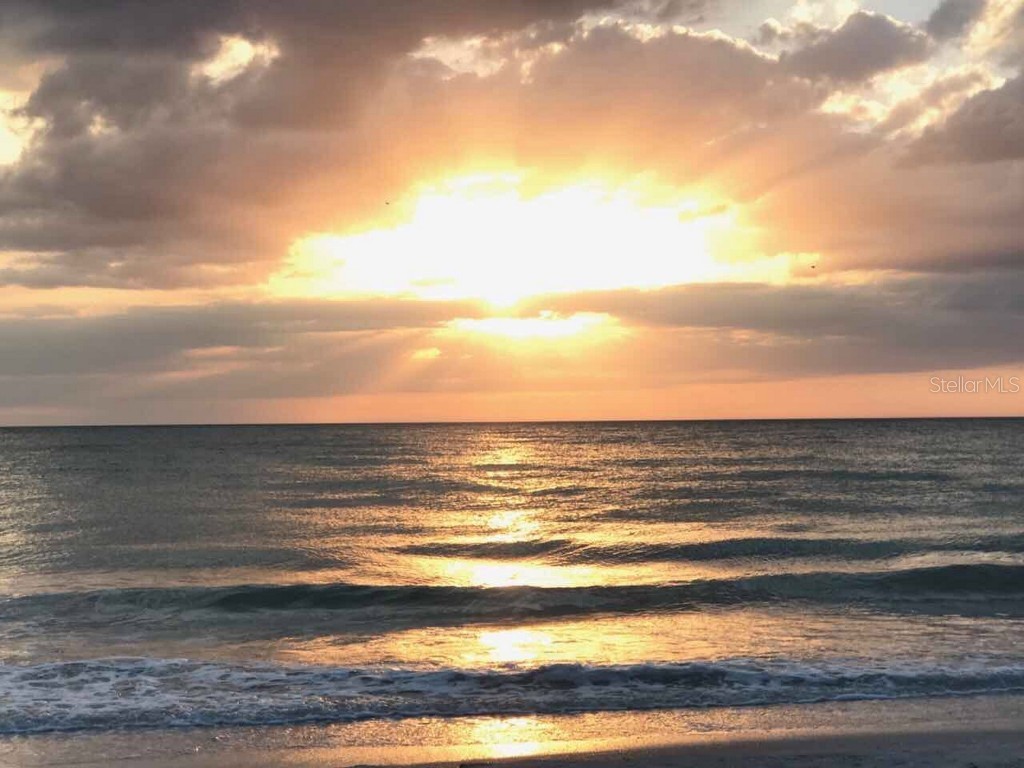 100 Bluff View Drive #415A Belleair Bluffs FL 33770 - INTRACOASTAL WATERWAY TB8333241 image61