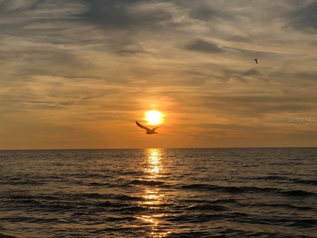 100 Bluff View Drive #415A Belleair Bluffs FL 33770 - INTRACOASTAL WATERWAY TB8333241 image64