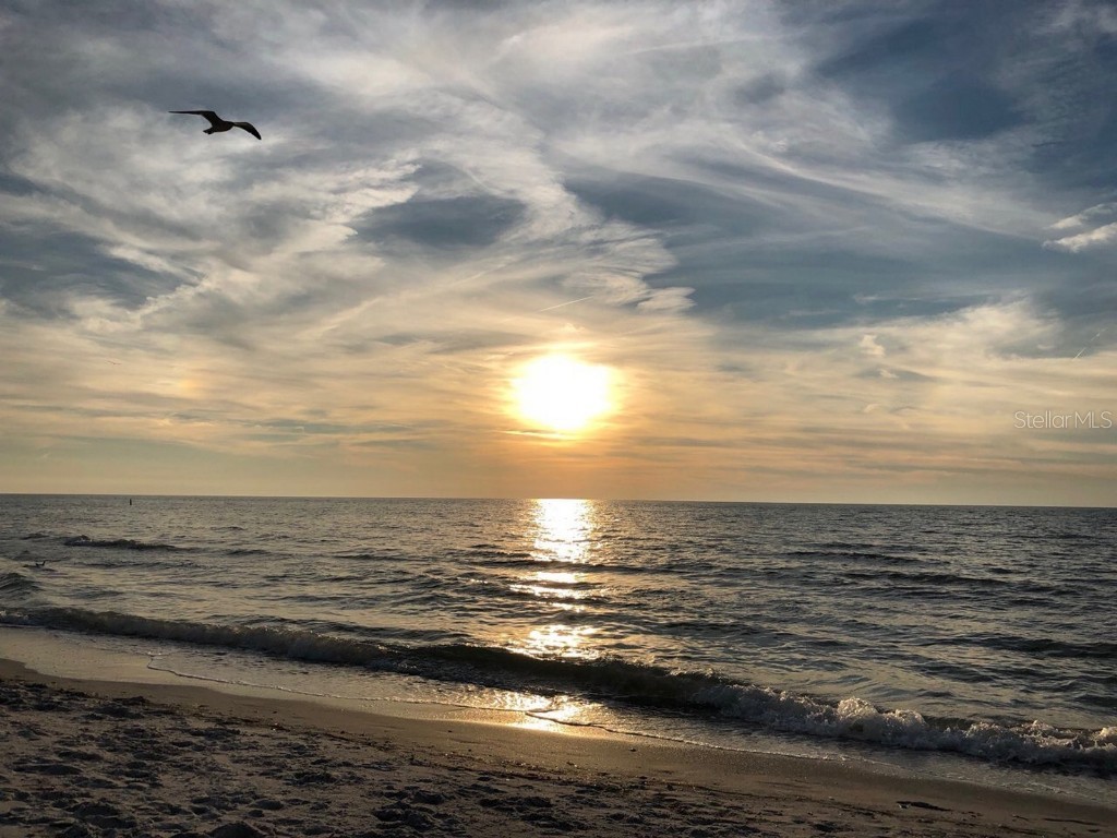 100 Bluff View Drive #415A Belleair Bluffs FL 33770 - INTRACOASTAL WATERWAY TB8333241 image65