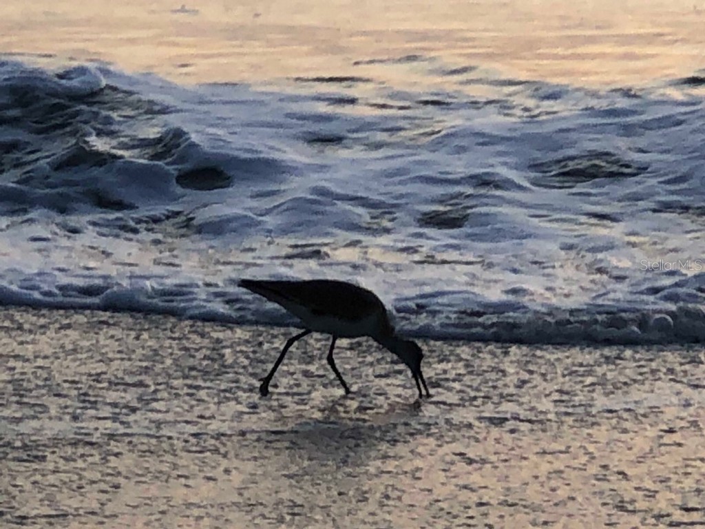 100 Bluff View Drive #415A Belleair Bluffs FL 33770 - INTRACOASTAL WATERWAY TB8333241 image71