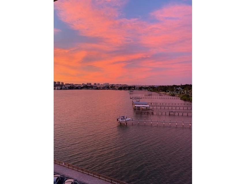 100 Bluff View Drive #505C Belleair Bluffs FL 33770 - CLEARWATER BAY TB8427954 image65