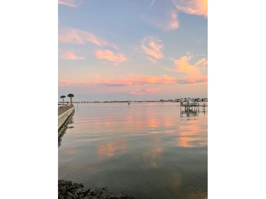 100 Bluff View Drive #505C Belleair Bluffs FL 33770 - CLEARWATER BAY TB8427954 image76