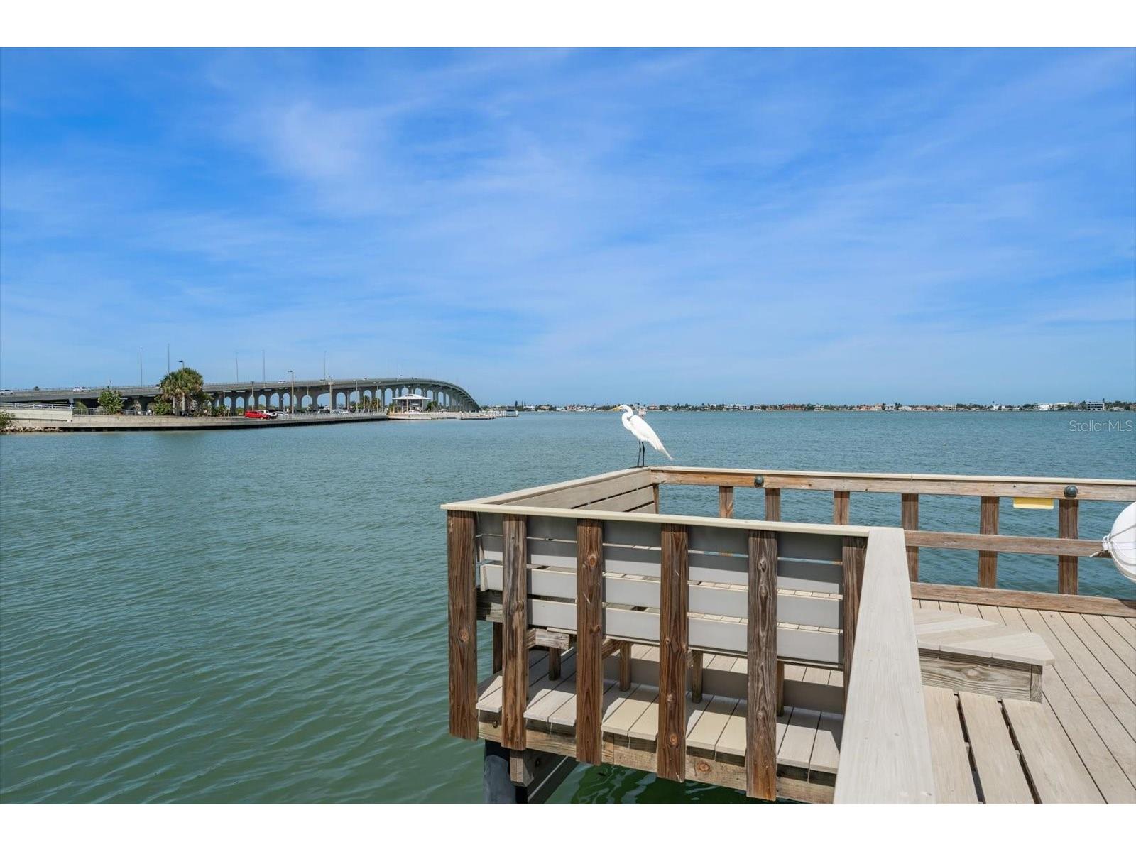 100 Bluff View Drive #506C Belleair Bluffs FL 33770 TB8510737 image36