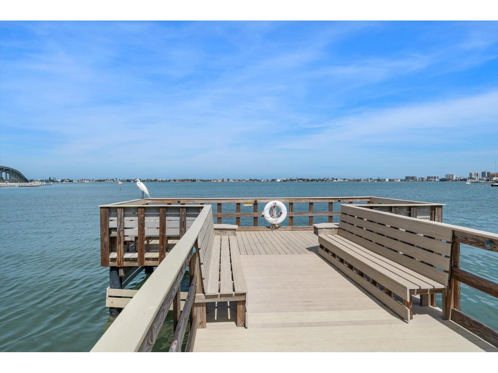 100 Bluff View Drive #506C Belleair Bluffs FL 33770 TB8510737 image38