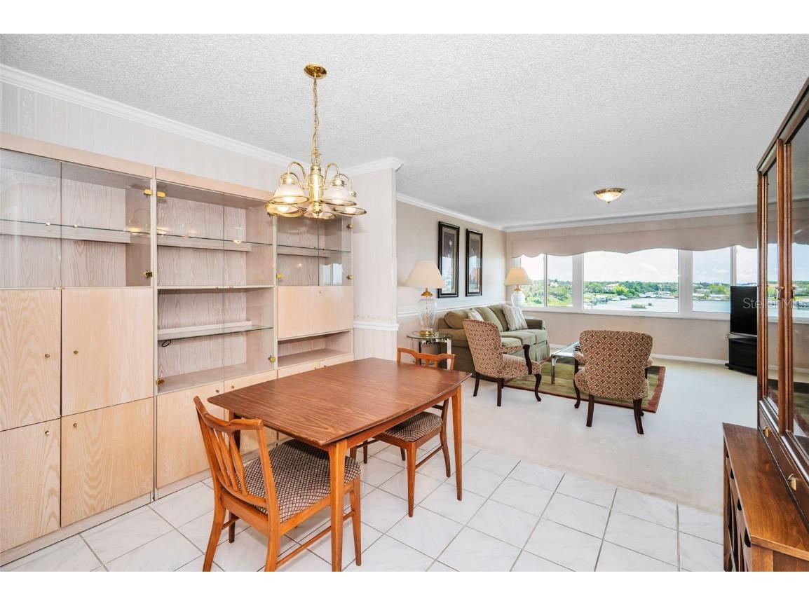 100 Bluff View Drive #511C Belleair Bluffs FL 33770 - CLEARWATER BAY TB8394847 image38