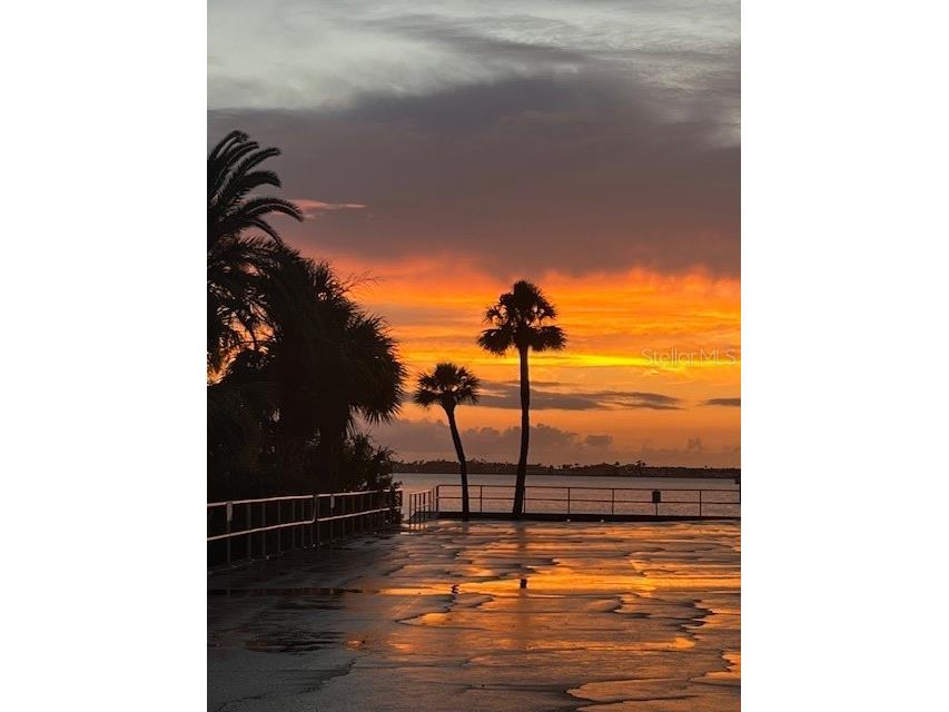 100 Bluff View Drive #604C Belleair Bluffs FL 33770 - CLEARWATER BAY TB8467604 image55