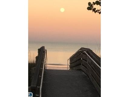 100 Bluff View Drive #604C Belleair Bluffs FL 33770 - CLEARWATER BAY TB8467604 image52