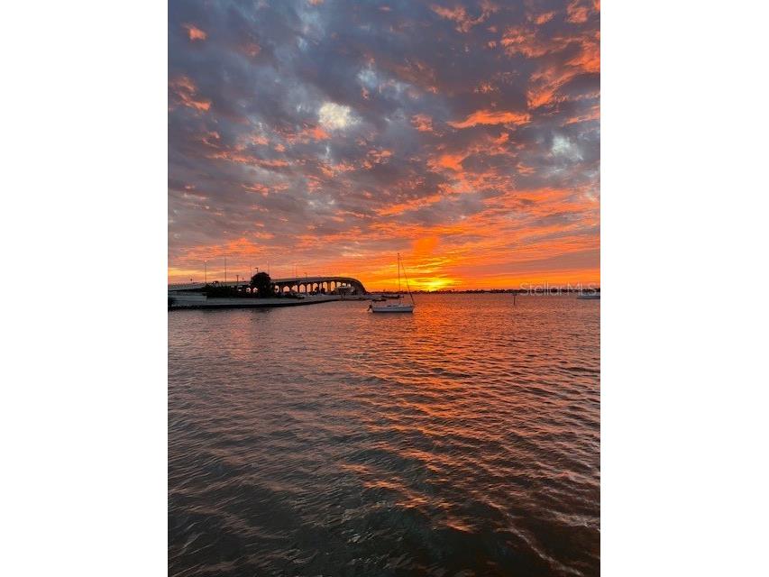 100 Bluff View Drive #604C Belleair Bluffs FL 33770 - CLEARWATER BAY TB8467604 image54