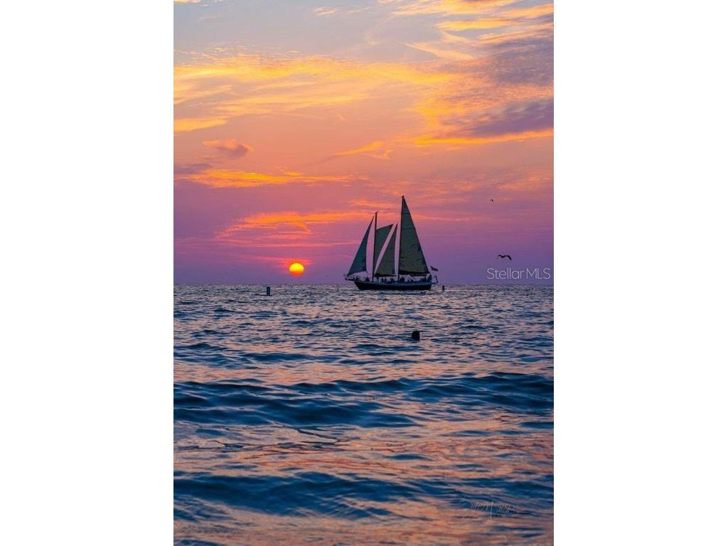 100 Bluff View Drive #607A Belleair Bluffs FL 33770 - CLEARWATER HARBOR TB8423569 image100