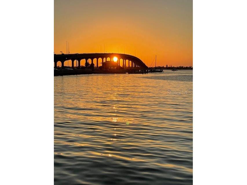 100 Bluff View Drive #608C Belleair Bluffs FL 33770 - CLEARWATER BAY TB8413949 image19