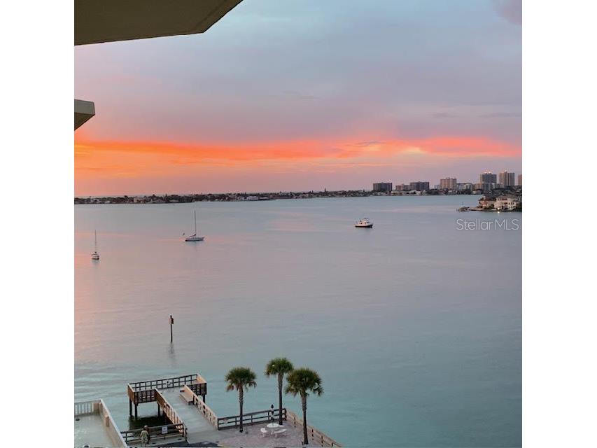 100 Bluff View Drive #608C Belleair Bluffs FL 33770 - CLEARWATER BAY TB8413949 image37