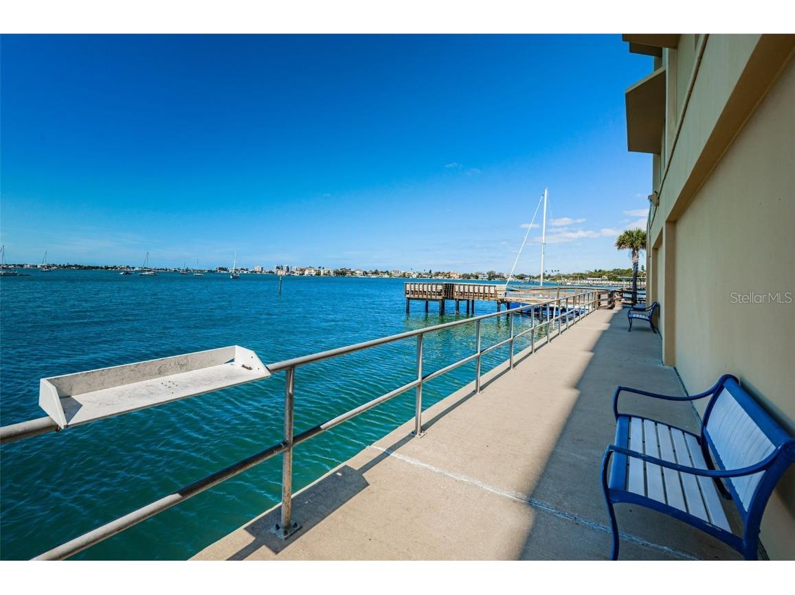 100 Bluff View Drive #608C Belleair Bluffs FL 33770 - CLEARWATER BAY TB8413949 image74